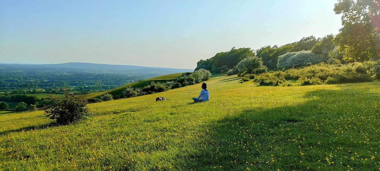 View towards Leith Hill from Colley Hill, Reigate, Summer 2023 - with thanks to Sally Payne.
Studies show the positive impact of connecting with nature on our mental health, so we are lucky to be surrounded by rural green spaces offering opportunities for calm and reflection.